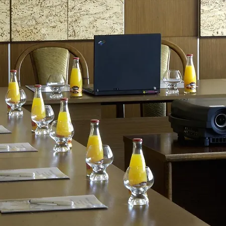 Ensana Central Hotel 3*